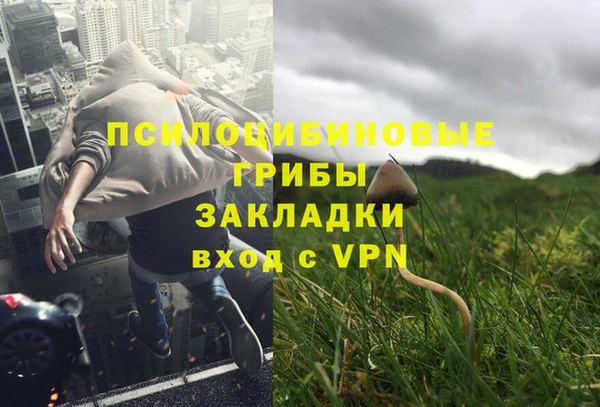 ECSTASY Алексин