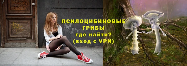 молекула духа Алзамай