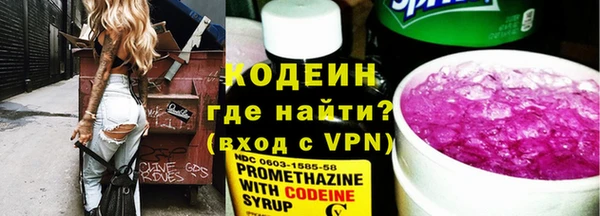 молекула духа Алзамай