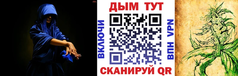 Конопля семена  ссылка на мегу вход  Бодайбо  где найти  